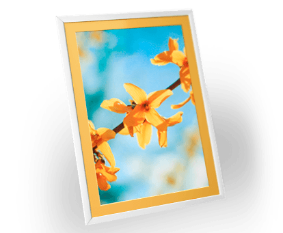 Фотопостеры в раму